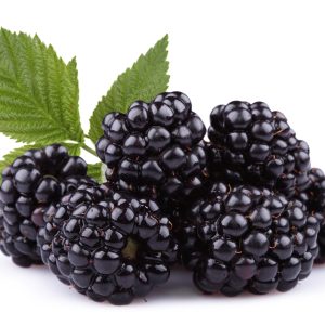 Berries- Blackberries