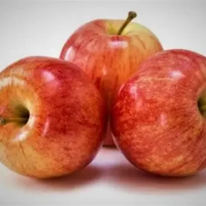 Apple- Royal Gala