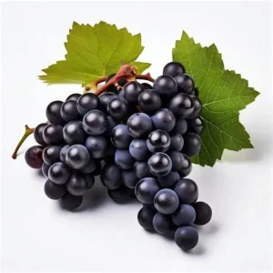 Grapes- Black