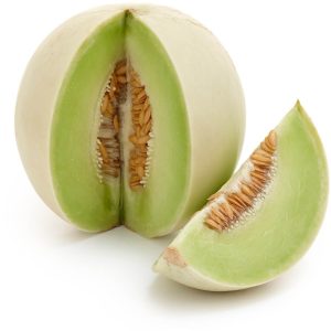 Melon- Honeydew
